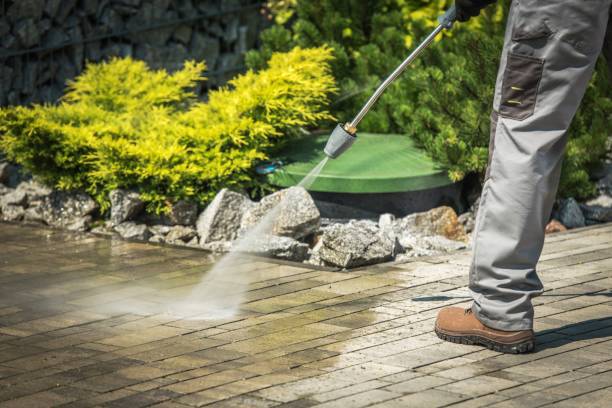 Best Winterizing Services  in Rosenberg, TX