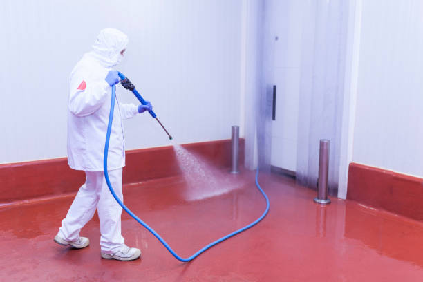 Animal Enclosure Cleaning in Rosenberg, TX